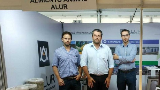 ALUR avanza en el terreno de la alimentación animal — Audios — Dinámica Rural | El Espectador 810