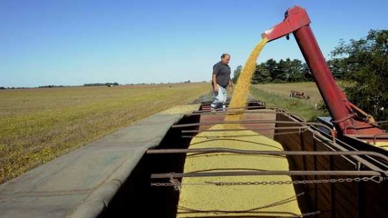 Transportistas de carga analizan la posibilidad de tomar medidas en el inicio la cosecha de soja — Audios — Dinámica Rural | El Espectador 810