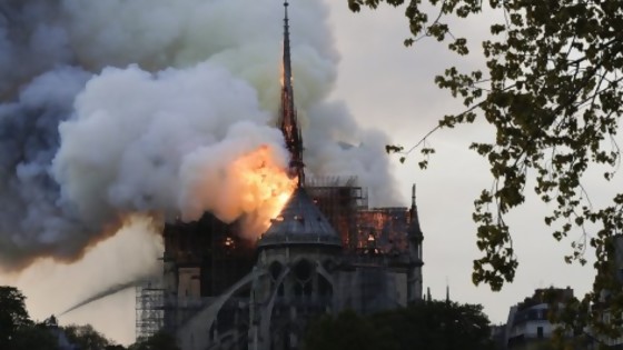 El incendio de Notre Dame y sus responsables, según Darwin — Columna de Darwin — No Toquen Nada | El Espectador 810