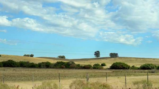 M. Bidegain: 'Es esperable que el clima continúe  beneficiando a la producción' — Economía — Dinámica Rural | El Espectador 810