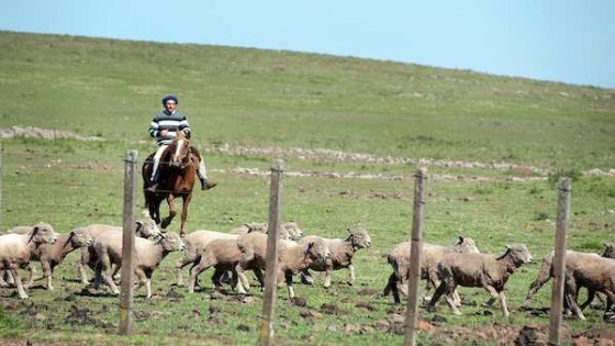 BROU e INC presentan línea de crédito pensada para colonos — Economía — Dinámica Rural | El Espectador 810