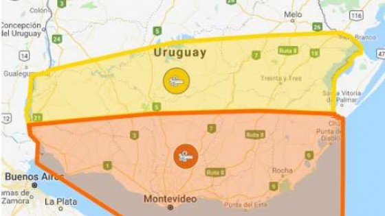 Alerta de noticias — De qué te reís: Diego Bello — Más Temprano Que Tarde | El Espectador 810