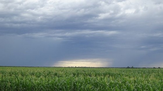 M. Bidegain: ''Atrás quedó el déficit hídrico, e ingresamos en un escenario neutro'' — Clima — Dinámica Rural | El Espectador 810