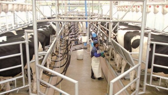 Gremiales lecheras solicitaron aumento del precio de la leche — Lechería — Dinámica Rural | El Espectador 810