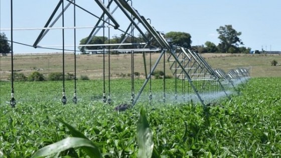 Lechería: Mientras crece su adopción, el riego llegó para quedarse — Lechería — Dinámica Rural | El Espectador 810