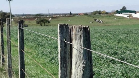 J. L. Pérez: ''Es baja la probabilidad, pero quizá ocurran algunas heladas leves'' — Clima — Dinámica Rural | El Espectador 810