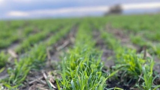 M. Bidegain: ''Hacia el fin de la semana esperamos lluvias por encima de los 20 milímetros'' — Clima — Dinámica Rural | El Espectador 810