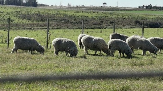 S. Da Silva: ''Con este proyecto facultamos a la Policía para que pueda actuar más en profundidad'' — Política — Dinámica Rural | El Espectador 810