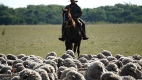 Carne ovina: En la última década los precios del producto crecieron 63% — Comercio Exterior — Dinámica Rural | El Espectador 810