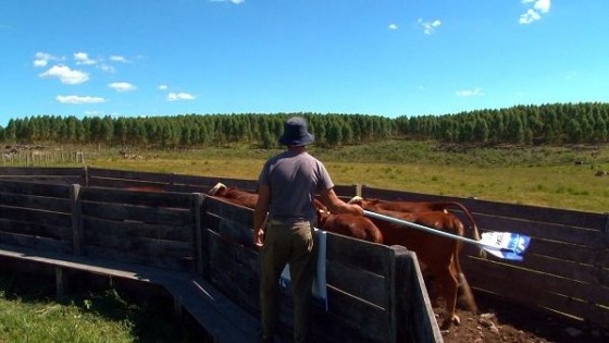 M. Del Campo: ''Al bienestar animal hay qué garantizarlo con ciencia, investigación, articulación y ejecución'' — Política — Dinámica Rural | El Espectador 810