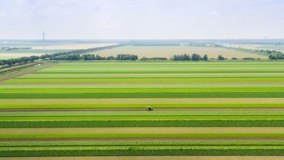 USDA: La soja ingresa en un mercado climático que definirá el precio a futuro — Comercio Exterior — Dinámica Rural | El Espectador 810