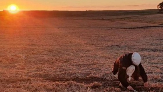 Herramienta: A través de ''Conexión Innovagro'', unos 30 mil vacunos se han inscripto — Inversión — Dinámica Rural | El Espectador 810