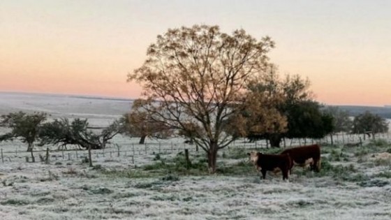 Mario Bidegain: ''Heladas, lluvias y tiempo estable hasta agosto'' — Clima — Dinámica Rural | El Espectador 810