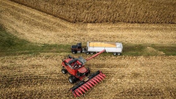 ¿Qué pasa con la soja? — Comercio Exterior — Dinámica Rural | El Espectador 810