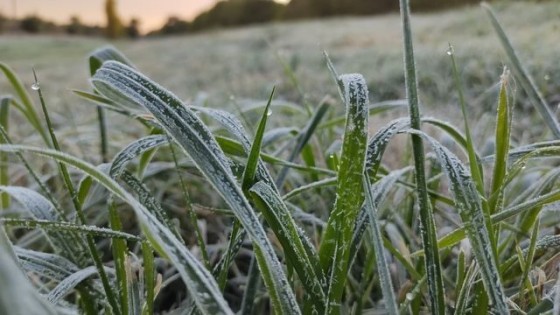 Nubel Cisnero: aparecen las heladas meteorológicas y agrometeorológicas — Clima — Dinámica Rural | El Espectador 810