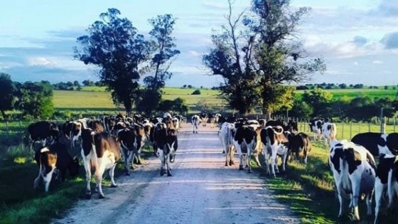 San José crece a influjo del agronegocio — Economía — Dinámica Rural | El Espectador 810