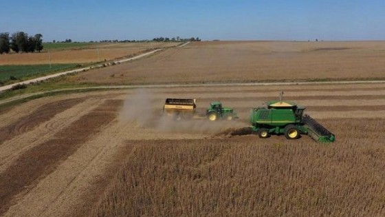 El clima le da volatilidad al mercado sojero — Comercio Exterior — Dinámica Rural | El Espectador 810