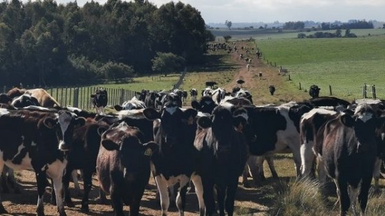 Se presentó a Leandro Galarraga como candidato a presidir ANPL — gremiales — Dinámica Rural | El Espectador 810