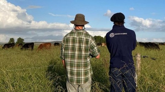 J.I.Montans: El desempeño de las empresas ganaderas ''es de bueno a muy bueno'' — Extensión — Dinámica Rural | El Espectador 810