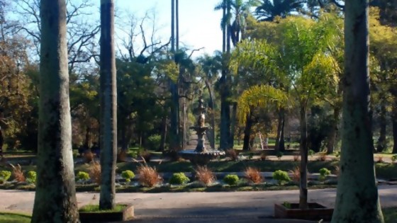 Jardín Botánico de Montevideo, algo más que un paseo al aire libre — Qué tiene la tarde — Más Temprano Que Tarde | El Espectador 810