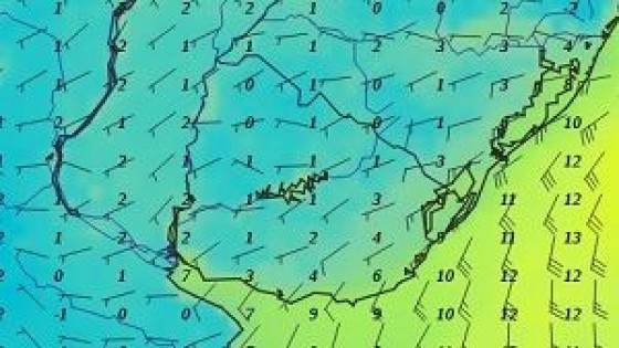 G. Labrador: Para esta semana ''vuelve el frío, y polar'' — Clima — Dinámica Rural | El Espectador 810