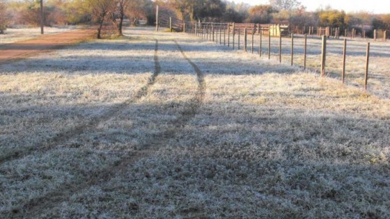 Nubel Cisneros: es de esperar un invierno frío y seco, así como heladas tardías hasta octubre inclusive — Clima — Dinámica Rural | El Espectador 810