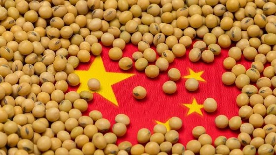 La ausencia de China impacta en el mercado, y se refleja en las referencias — Comercio Exterior — Dinámica Rural | El Espectador 810