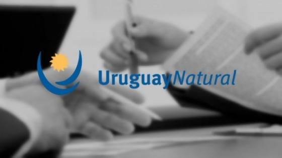 El cambio del eslogan país según Darwin y el salario real según el Cuesta Duarte — NTN Concentrado — No Toquen Nada | El Espectador 810