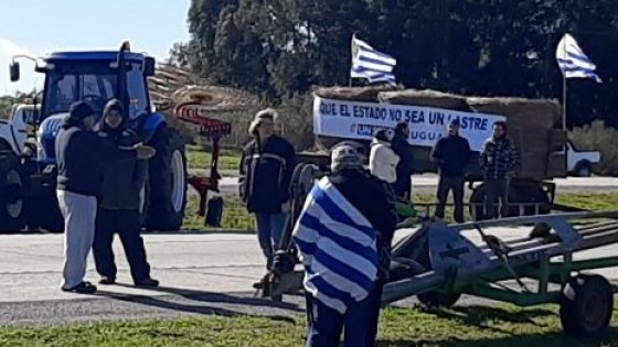 USU: ''Queremos mesas de trabajo de verdad y encontrar soluciones, no somos oposición'' — gremiales — Dinámica Rural | El Espectador 810