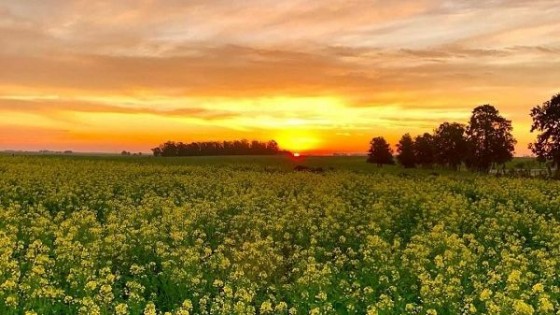 M. Bidegain: ''La primavera se acerca, y con ella 'La Niña''' — Clima — Dinámica Rural | El Espectador 810