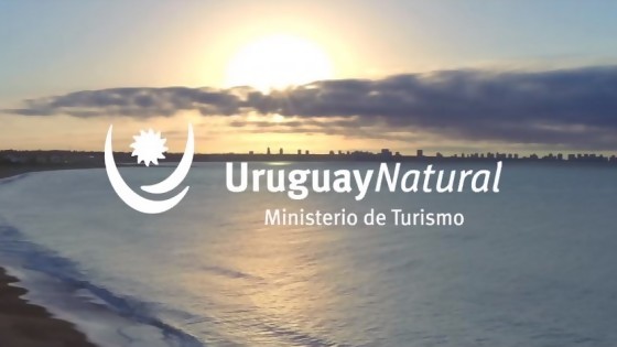 Darwin habla del slogan país y del director de Turismo echado; Porciúncula habla de suicidio — NTN Concentrado — No Toquen Nada | El Espectador 810