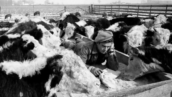 Las fotos de Dennis Stock que transformaron a James Dean en personaje icónico — Leo Barizzoni — No Toquen Nada | El Espectador 810