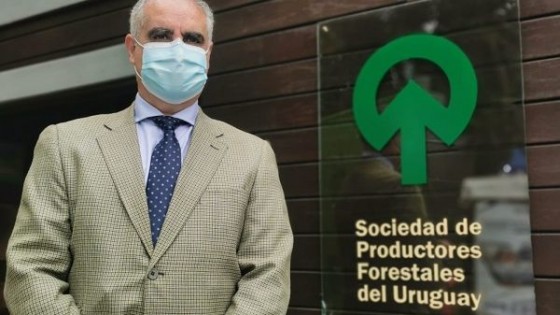 N. Ledesma: ''La actividad forestal es complementaria'' — Inversión — Dinámica Rural | El Espectador 810