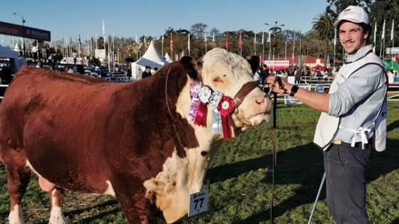 Cabaña ''La Hormiga'' repitió y obtuvo el máximo reconocimiento en Hereford — Exposiciones — Dinámica Rural | El Espectador 810