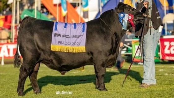 El Pobrecito de Bentancur, ''33 años de mejora contínua'' — Exposiciones — Dinámica Rural | El Espectador 810