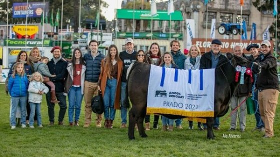 F. Fernández: ''Con San Gregorio Ganadera venimos con una muy buena racha'' — Zafra — Dinámica Rural | El Espectador 810