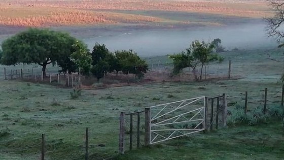 Primavera: Frente frío genera heladas agrometeorológicas — Clima — Dinámica Rural | El Espectador 810