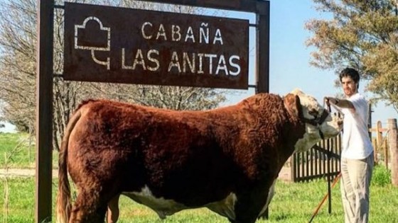 '' 'Las Anitas', con genética elite'' — Zafra — Dinámica Rural | El Espectador 810