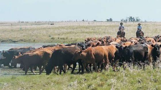 M. Bidegain: Desde noviembre ''lloverá por debajo de lo normal'' — Clima — Dinámica Rural | El Espectador 810