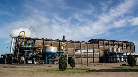 ALUR cerró contrato a cinco años con plantadores de caña de azúcar — Inversión — Dinámica Rural | El Espectador 810