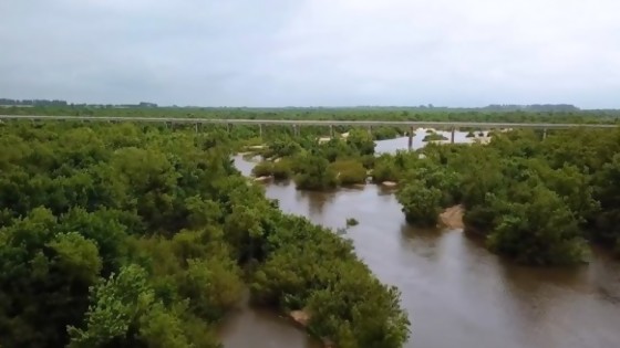 “Queríamos lograr que los productores tuvieran mayor conocimiento de la zona” — Entrevistas — No Toquen Nada | El Espectador 810