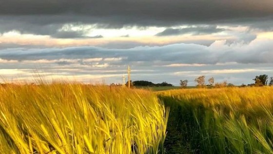 M. Bidegain: ''Aún no podemos hablar de sequía, pero sí de déficit hídrico'' — Clima — Dinámica Rural | El Espectador 810