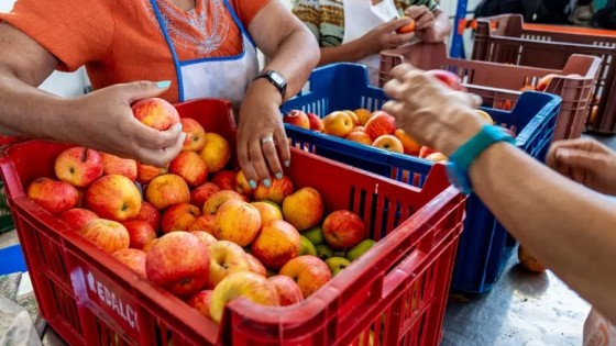 La organización REDALCO, que recupera frutas y verduras, fue premiada por su impacto social — Qué tiene la tarde — Más Temprano Que Tarde | El Espectador 810