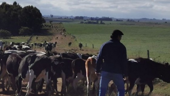 F. Arrillaga: ''Vamos por una cooperativa líder en todos los ámbitos'' — Lechería — Dinámica Rural | El Espectador 810