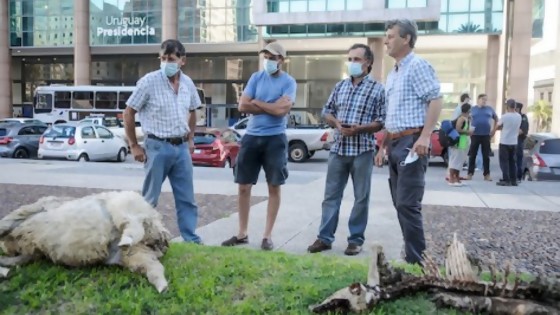 Los principales titulares de este lunes 31 de enero — Titulares — Primera Mañana | El Espectador 810