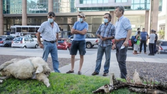 Lo mejor de las columnas de Darwin del 31/01 al 04/02 — Columna de Darwin — No Toquen Nada | El Espectador 810