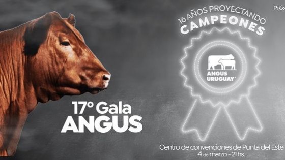 Gala Angus, un remate de elite — Inversión — Dinámica Rural | El Espectador 810