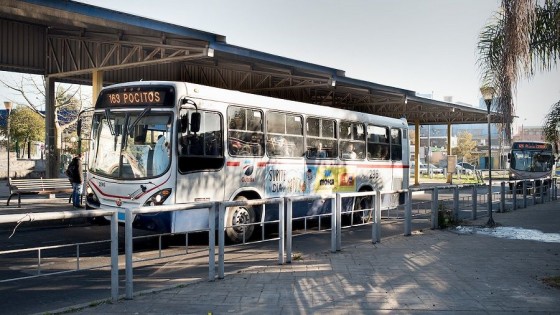 El gobierno estudia planes para la transformación energética en el transporte — Qué tiene la tarde — Más Temprano Que Tarde | El Espectador 810