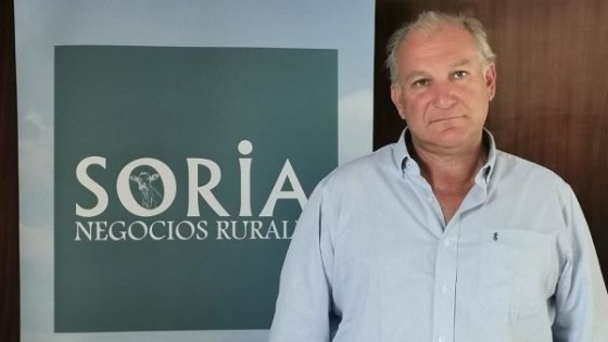 Un remate Holando para criadores de Holando — Lechería — Dinámica Rural | El Espectador 810