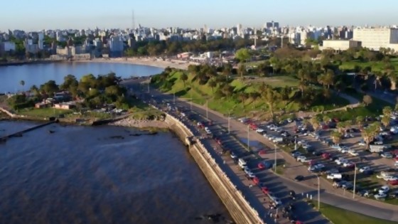 La importancia de las áreas verdes en las ciudades — Entrevistas — No Toquen Nada | El Espectador 810